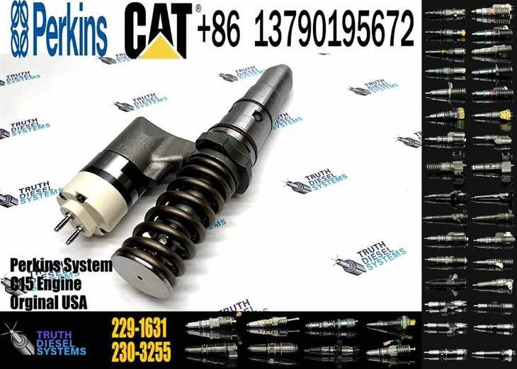 Caterpillar Injector 3512B 246-1854 10R-7238 Diesel Fuel Injector 245-8272 10R-8795 229-1631 204-2067 192-2817 0R-3539 162-8813 0R-9944 162-8809 150-4453 Original New Injector high quality